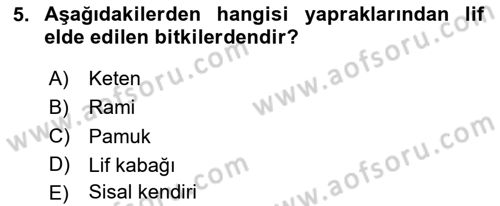 Bitki Su İlişkileri Dersi 2025 - 2026 Yılı (Final) Dönem Sonu Sınav Soruları 5. Soru
