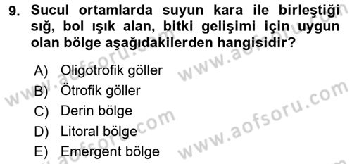 Bitki Su İlişkileri Dersi 2025 - 2026 Yılı (Final) Dönem Sonu Sınav Soruları 9. Soru