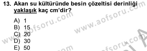 Örtü Altı Üretim Sistemleri Dersi 2012 - 2013 Yılı (Final) Dönem Sonu Sınav Soruları 13. Soru