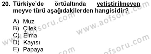 Örtü Altı Üretim Sistemleri Dersi 2012 - 2013 Yılı (Final) Dönem Sonu Sınav Soruları 20. Soru