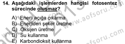 Örtü Altı Üretim Sistemleri Dersi 2013 - 2014 Yılı (Vize) Ara Sınav Soruları 14. Soru
