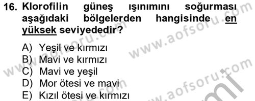Örtü Altı Üretim Sistemleri Dersi 2013 - 2014 Yılı (Vize) Ara Sınav Soruları 16. Soru