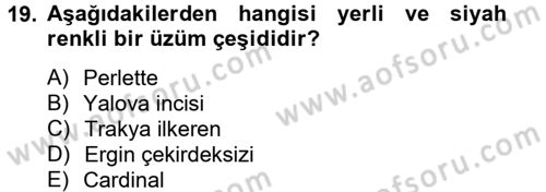 Örtü Altı Üretim Sistemleri Dersi 2013 - 2014 Yılı Tek Ders Sınav Soruları 19. Soru