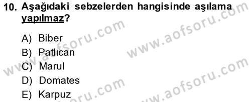 Örtü Altı Üretim Sistemleri Dersi 2014 - 2015 Yılı (Final) Dönem Sonu Sınav Soruları 10. Soru