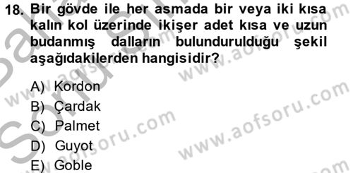 Örtü Altı Üretim Sistemleri Dersi 2014 - 2015 Yılı (Final) Dönem Sonu Sınav Soruları 18. Soru