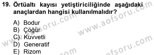 Örtü Altı Üretim Sistemleri Dersi 2014 - 2015 Yılı (Final) Dönem Sonu Sınav Soruları 19. Soru