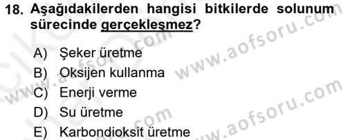 Örtü Altı Üretim Sistemleri Dersi 2015 - 2016 Yılı (Vize) Ara Sınav Soruları 18. Soru