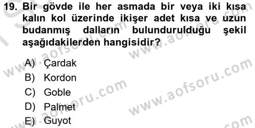 Örtü Altı Üretim Sistemleri Dersi 2015 - 2016 Yılı (Final) Dönem Sonu Sınav Soruları 19. Soru
