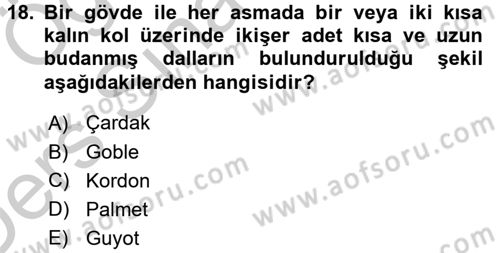 Örtü Altı Üretim Sistemleri Dersi 2016 - 2017 Yılı 3 Ders Sınav Soruları 18. Soru