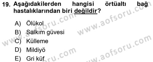Örtü Altı Üretim Sistemleri Dersi 2016 - 2017 Yılı 3 Ders Sınav Soruları 19. Soru