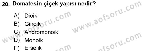 Örtü Altı Üretim Sistemleri Dersi 2016 - 2017 Yılı 3 Ders Sınav Soruları 20. Soru