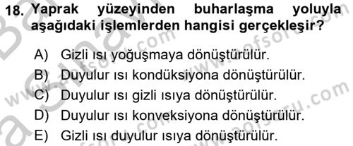 Örtü Altı Üretim Sistemleri Dersi 2016 - 2017 Yılı (Vize) Ara Sınav Soruları 18. Soru
