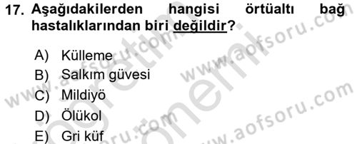 Örtü Altı Üretim Sistemleri Dersi 2016 - 2017 Yılı (Final) Dönem Sonu Sınav Soruları 17. Soru
