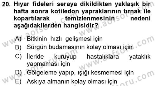 Örtü Altı Üretim Sistemleri Dersi 2016 - 2017 Yılı (Final) Dönem Sonu Sınav Soruları 20. Soru