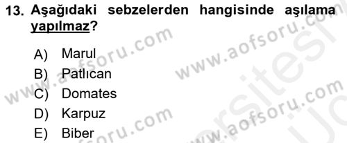 Örtü Altı Üretim Sistemleri Dersi 2017 - 2018 Yılı 3 Ders Sınav Soruları 13. Soru