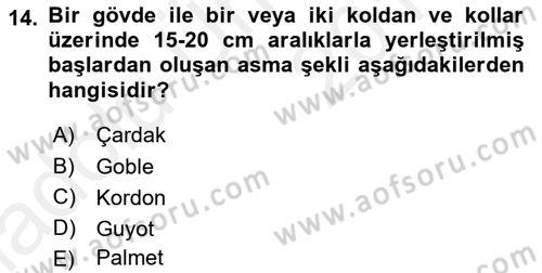 Örtü Altı Üretim Sistemleri Dersi 2017 - 2018 Yılı 3 Ders Sınav Soruları 14. Soru