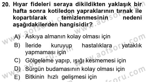 Örtü Altı Üretim Sistemleri Dersi 2017 - 2018 Yılı 3 Ders Sınav Soruları 20. Soru
