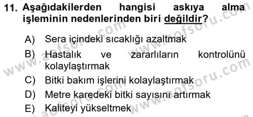 Örtü Altı Üretim Sistemleri Dersi 2018 - 2019 Yılı 3 Ders Sınav Soruları 11. Soru