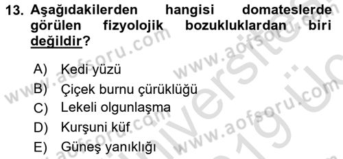 Örtü Altı Üretim Sistemleri Dersi 2018 - 2019 Yılı 3 Ders Sınav Soruları 13. Soru