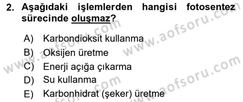 Örtü Altı Üretim Sistemleri Dersi 2018 - 2019 Yılı (Final) Dönem Sonu Sınav Soruları 2. Soru