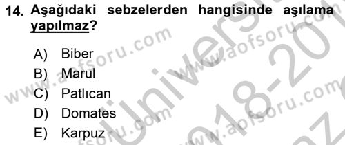 Örtü Altı Üretim Sistemleri Dersi 2018 - 2019 Yılı Yaz Okulu Sınav Soruları 14. Soru
