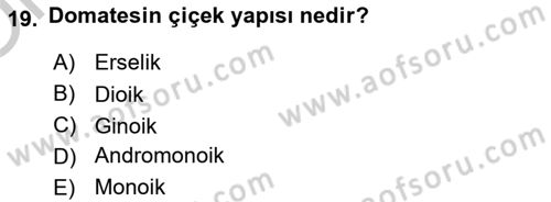 Örtü Altı Üretim Sistemleri Dersi 2018 - 2019 Yılı Yaz Okulu Sınav Soruları 19. Soru
