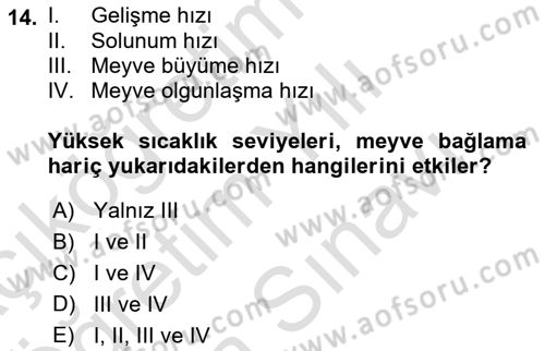 Örtü Altı Üretim Sistemleri Dersi 2021 - 2022 Yılı (Vize) Ara Sınav Soruları 14. Soru