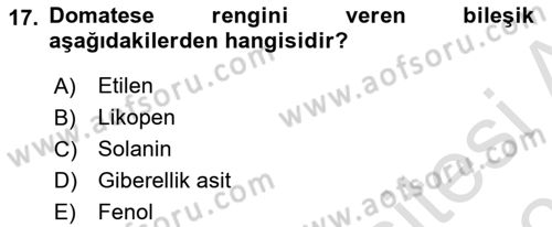 Örtü Altı Üretim Sistemleri Dersi 2021 - 2022 Yılı (Final) Dönem Sonu Sınav Soruları 17. Soru