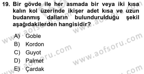 Örtü Altı Üretim Sistemleri Dersi 2021 - 2022 Yılı (Final) Dönem Sonu Sınav Soruları 19. Soru