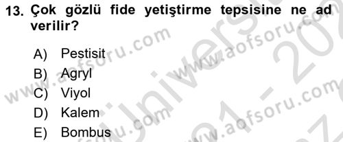 Örtü Altı Üretim Sistemleri Dersi 2021 - 2022 Yılı Yaz Okulu Sınav Soruları 13. Soru