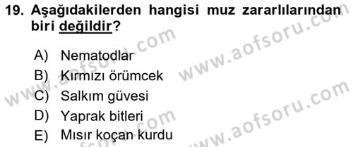 Örtü Altı Üretim Sistemleri Dersi 2021 - 2022 Yılı Yaz Okulu Sınav Soruları 19. Soru