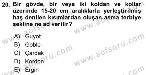 Örtü Altı Üretim Sistemleri Dersi 2021 - 2022 Yılı Yaz Okulu Sınav Soruları 20. Soru