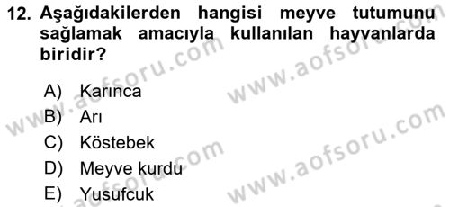 Örtü Altı Üretim Sistemleri Dersi 2022 - 2023 Yılı Yaz Okulu Sınav Soruları 12. Soru