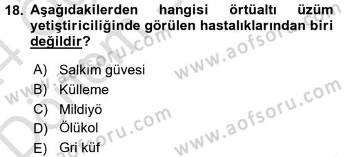 Örtü Altı Üretim Sistemleri Dersi 2023 - 2024 Yılı (Final) Dönem Sonu Sınav Soruları 18. Soru