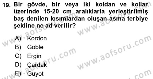 Örtü Altı Üretim Sistemleri Dersi 2023 - 2024 Yılı Yaz Okulu Sınav Soruları 19. Soru