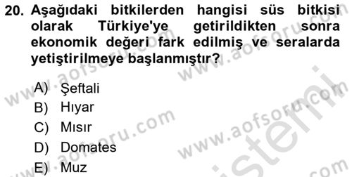 Örtü Altı Üretim Sistemleri Dersi 2023 - 2024 Yılı Yaz Okulu Sınav Soruları 20. Soru