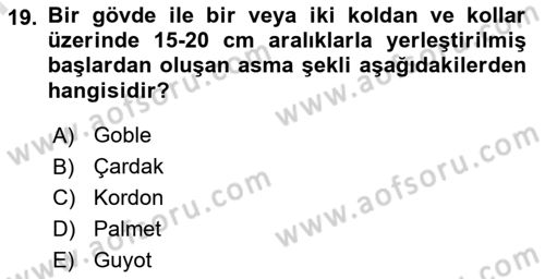 Örtü Altı Üretim Sistemleri Dersi 2024 - 2025 Yılı (Final) Dönem Sonu Sınav Soruları 19. Soru