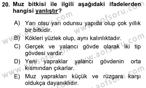 Örtü Altı Üretim Sistemleri Dersi 2024 - 2025 Yılı (Final) Dönem Sonu Sınav Soruları 20. Soru
