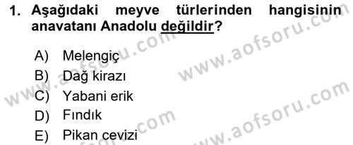 Bahçe Tarımı Dersi 2024 - 2025 Yılı (Vize) Ara Sınav Soruları 1. Soru