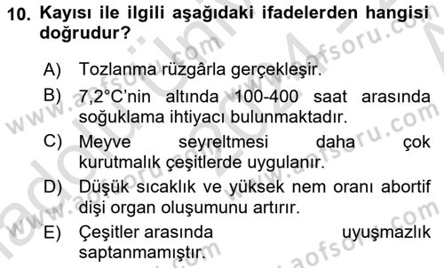Bahçe Tarımı Dersi 2024 - 2025 Yılı (Vize) Ara Sınav Soruları 10. Soru