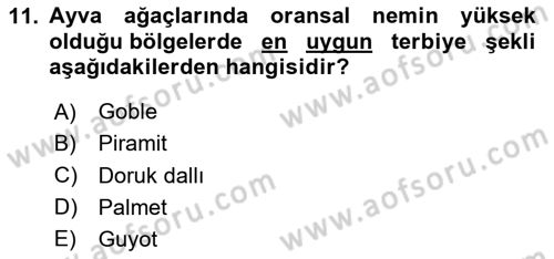 Bahçe Tarımı Dersi 2024 - 2025 Yılı (Vize) Ara Sınav Soruları 11. Soru