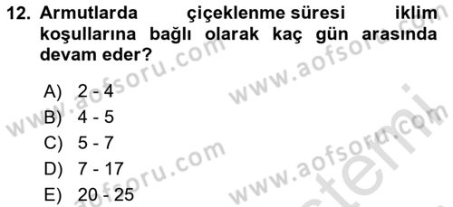Bahçe Tarımı Dersi 2024 - 2025 Yılı (Vize) Ara Sınav Soruları 12. Soru