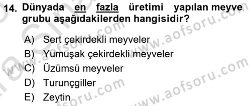 Bahçe Tarımı Dersi 2024 - 2025 Yılı (Vize) Ara Sınav Soruları 14. Soru
