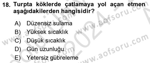 Bahçe Tarımı Dersi 2024 - 2025 Yılı (Vize) Ara Sınav Soruları 18. Soru