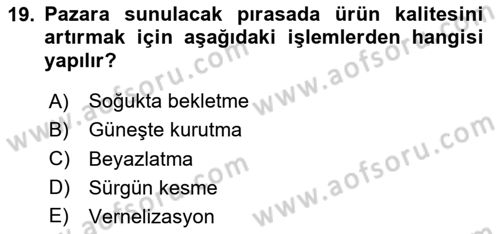 Bahçe Tarımı Dersi 2024 - 2025 Yılı (Vize) Ara Sınav Soruları 19. Soru