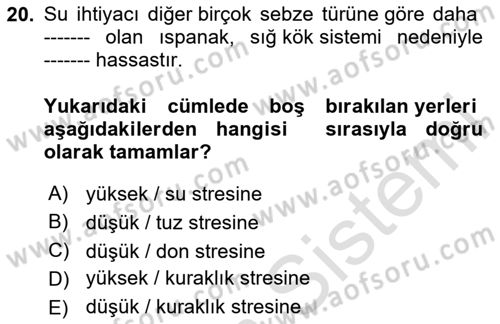 Bahçe Tarımı Dersi 2024 - 2025 Yılı (Vize) Ara Sınav Soruları 20. Soru
