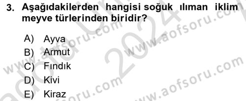 Bahçe Tarımı Dersi 2024 - 2025 Yılı (Vize) Ara Sınav Soruları 3. Soru