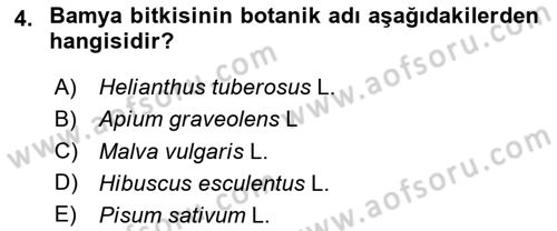 Bahçe Tarımı Dersi 2024 - 2025 Yılı (Vize) Ara Sınav Soruları 4. Soru