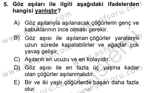 Bahçe Tarımı Dersi 2024 - 2025 Yılı (Vize) Ara Sınav Soruları 5. Soru