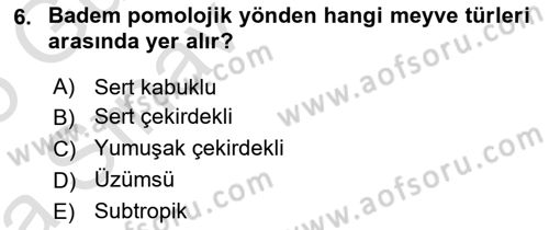Bahçe Tarımı Dersi 2024 - 2025 Yılı (Vize) Ara Sınav Soruları 6. Soru